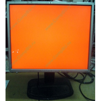 Монитор 19" TFT HP 1955 (DVI в Ангарске, USB-хаб) "квадратный" (Ангарск)