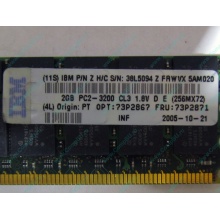 IBM 73P2871 73P2867 2Gb (2048Mb) DDR2 ECC Reg memory (Ангарск)
