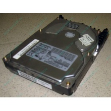 Жесткий диск 18.4Gb Quantum Atlas 10K III U160 SCSI (Ангарск)