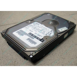 Жесткий диск 18.2Gb IBM Ultrastar DDYS-T18350 Ultra3 SCSI (Ангарск)