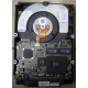 Жесткий диск 18.2Gb IBM Ultrastar DDYS-T18350 Ultra3 SCSI (Ангарск)