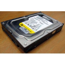 Жесткий диск 160Gb WD WD1602ABKS SATA (Ангарск)