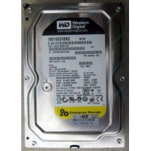 Жесткий диск 160Gb WD WD1602ABKS SATA (Ангарск)
