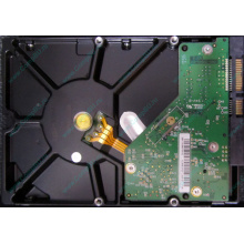 Б/У жёсткий диск 1Tb Western Digital WD10EVVS Green (WD AV-GP 1000 GB) 5400 rpm SATA (Ангарск)