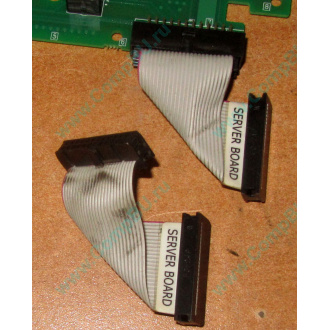 6017B0045701 Шлейф 24 pin для Intel C74974-401 T0043401-B01 корпуса SR2400 (Ангарск)