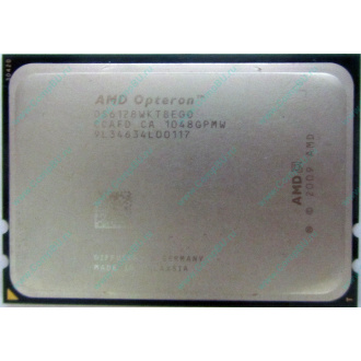 AMD Opteron 6128 OS6128WKT8EGO (Ангарск)