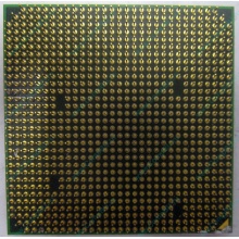 Процессор AMD Athlon 64300+ (1.8GHz) ADA3000IAA4CN s.AM2 (Ангарск)