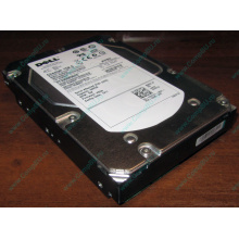 Жесткий диск 300Gb 15k Dell 9CH066-050 ST3300656SS Cheetah 15K.6 6G SAS (Ангарск)